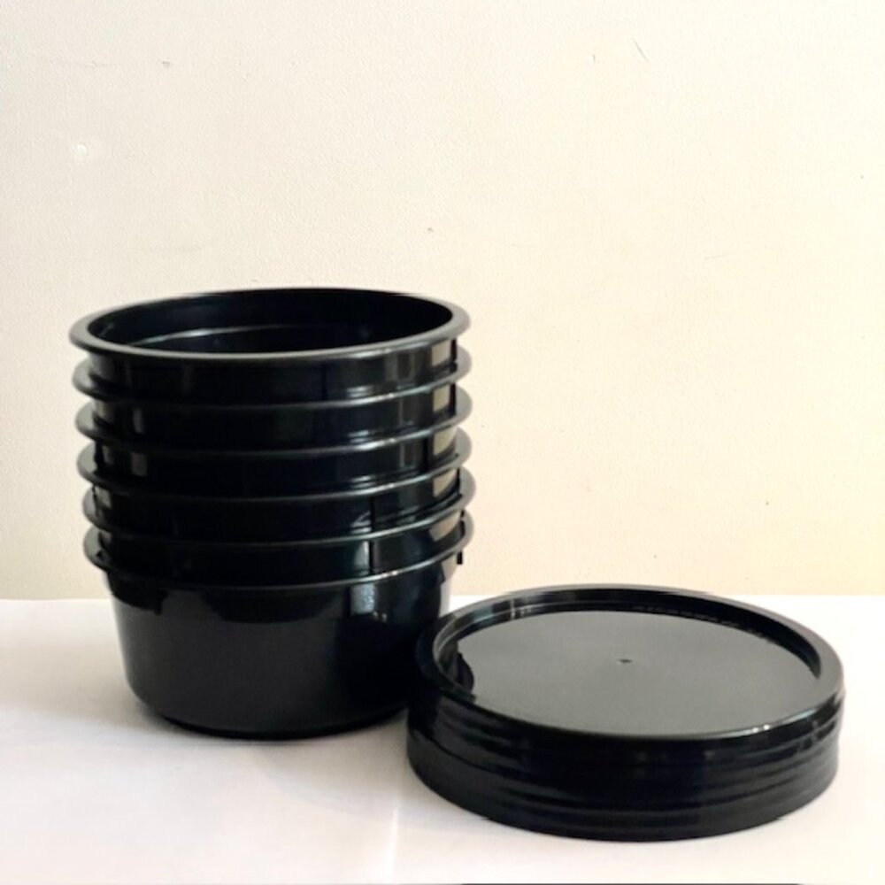 (6) Plastic Microwave Safe 24oz Noodle Soup Bowls w Lids Set